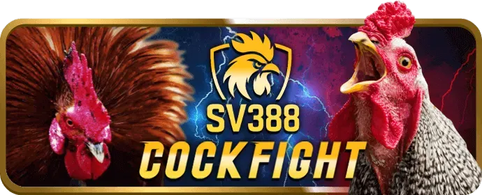 Trách nhiệm người dùng vua99 win